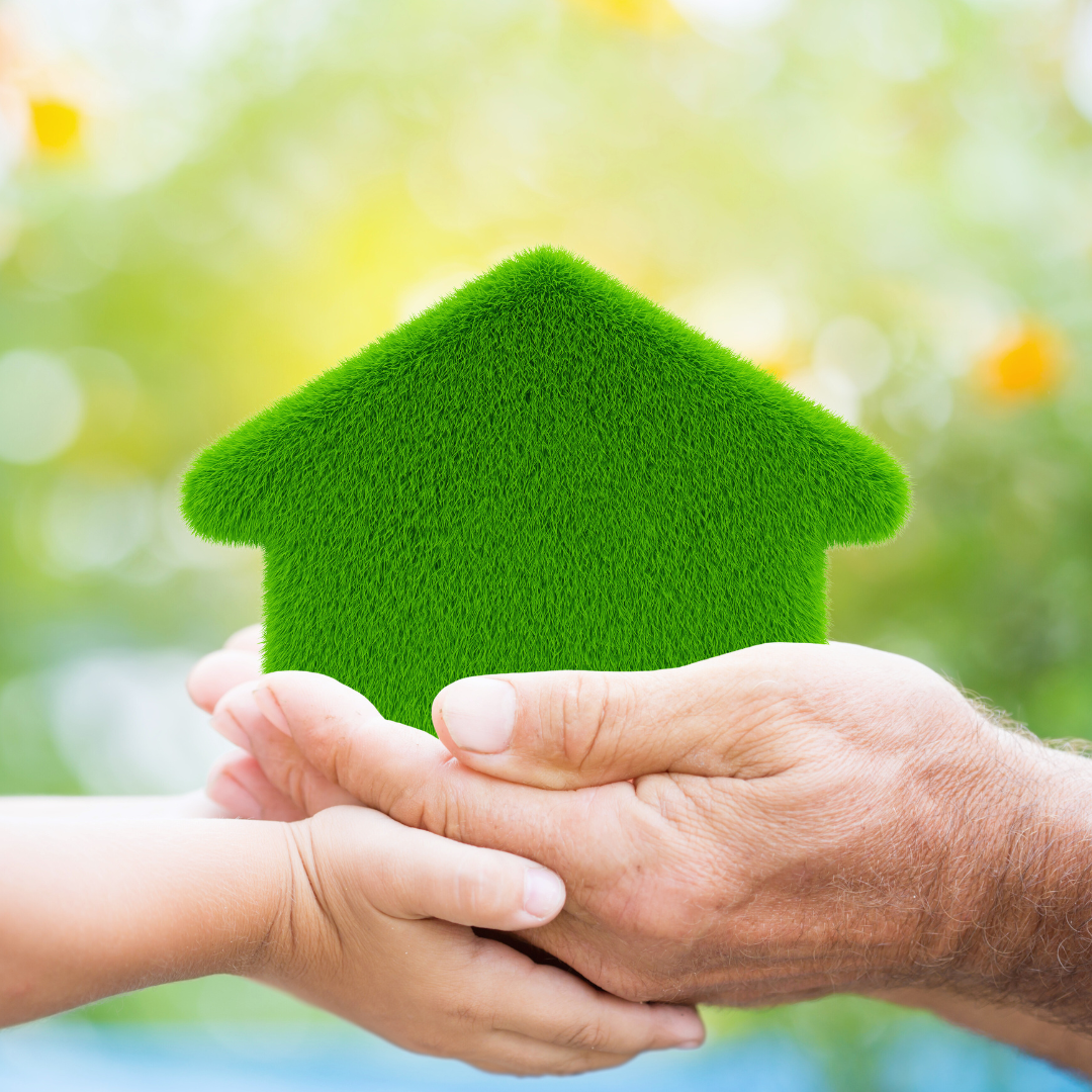 How to Make Your House More Eco-Friendly: Practical Tips for Sustainable Living